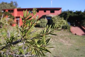 Casa rural Entreaguas - Ubytování bez kategorie ve městě Villanueva de la Vera