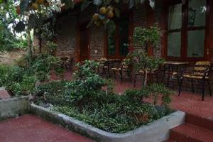 Tam Coc Thanh Dat Homestay