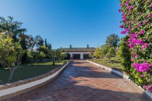 Authentic Andalucia