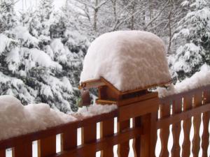 Maisons d'hotes Chalet Gerardmer situe a LE THOLY : photos des chambres