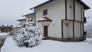 3 star viešbutis Pine Rose Hotel Banskas Bulgarija