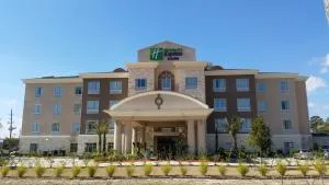 Holiday Inn Express and Suites Atascocita - Humble - Kingwood by IHG - همبل
