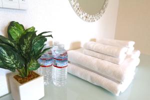 NM22 Liz Osaka Castle