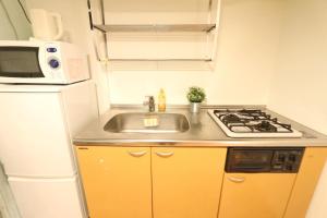 NM51 Liz Osaka Castle