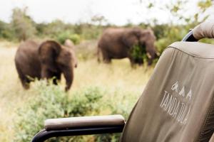 Tanda Tula Safari Camp