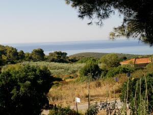 Apartments Elena & Damir