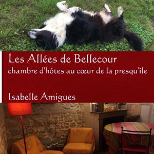 Appartements Les Allees de Bellecour : photos des chambres
