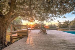 Alpaca country house