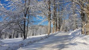 Hotel České Žleby