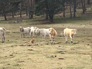 Casa Rural Senderismo