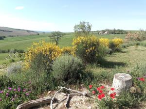 Poggio delle Lavande