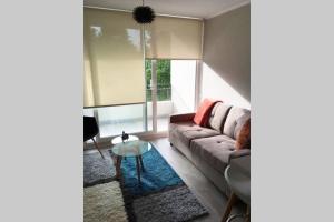 Nuevo y muy bien equipado departamento en Pucón