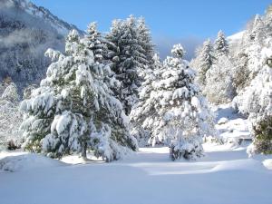 Hotels Gite Auberge Les Cascades : photos des chambres