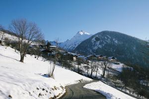 Chalets Chalet Tarine : photos des chambres