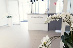 Adam i Ewa