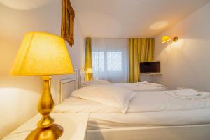Twin Room With AC room in Hotel Cetate Imparatul Romanilor