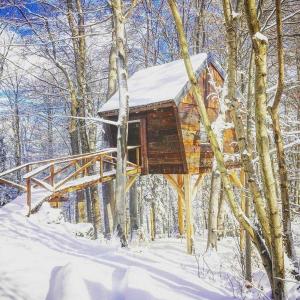 Bungalow Treehouse Na Škaluc Laško Slowenien