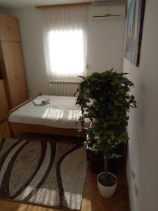 Cozy studio Belgrade (Zemun)