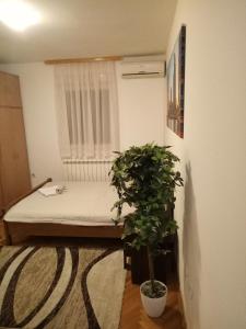 Cozy studio Belgrade (Zemun)