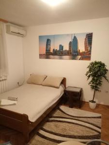 Cozy studio Belgrade (Zemun)