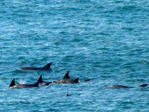 Premier Hotel Regent