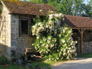 B&B / Chambres d'hotes La Bruyle - Chambre d'hotes de charme : photos des chambres