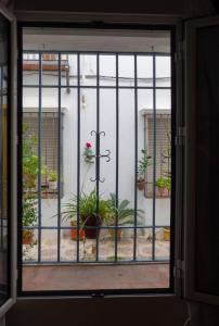 Wallada Casa del Indiano