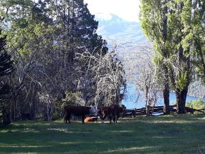 El Cipresal - Domo Fiofio