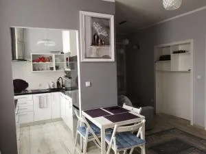 Apartament Detka - 新塔尔格