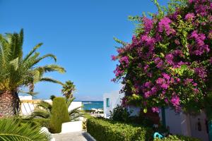 Mastichari Bay Hotel Kos Greece