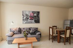 Vitosha Business & Ski Apartment 2