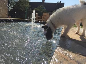 The Starting Gate, Bruton