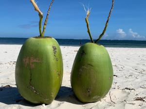 Mombasa Vacations Lux Beach Apartment A19