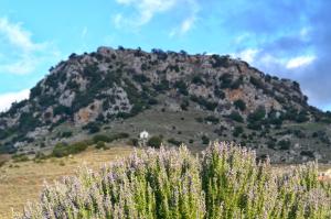 Levandes Houses Achaia Greece