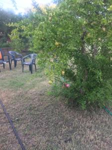 La Maison di Zia Annina Olbia