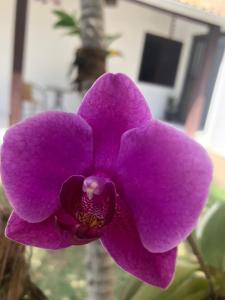 Village Shallon em Porto de Sauipe, casa nº 3