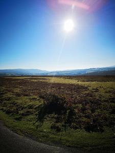 Pen-Rhos luxury glamping "Cuckoos Nest"