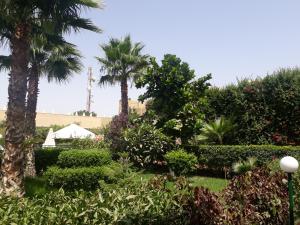 Almounia Hotel & Spa