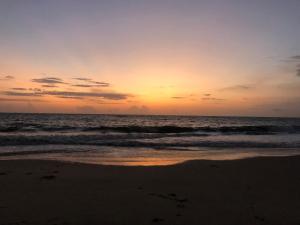Lemon Dew Beach House, Alleppey Beach
