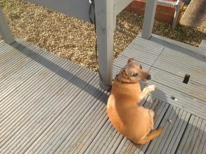 Sail Away Holiday Villa