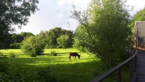 Lodges La Petite Motte : photos des chambres