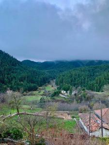 Elatis traditional and cosy home