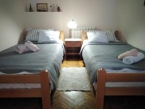 Twin Room room in Sobe Gajić