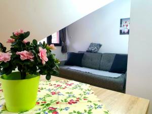 Apartman zlatibor