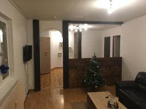 Appartements Le Chateau du Fleckenstein : photos des chambres