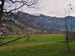 Ferienwohnung Geisler