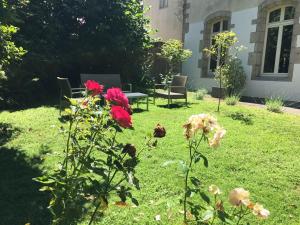 Appartements Tourisme et Affaires Quimper + parking prive, wifi, jardin : photos des chambres