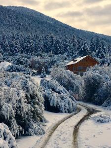 Vytina log house Arkadia Greece