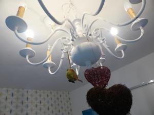 Das Nest Winterberg