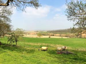 Maisons de vacances Le Gite Nature Bien-Etre du Tarn entre Toulouse et Albi & Les Cottages du Tarn : photos des chambres